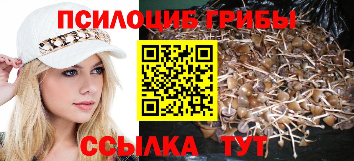 Галлюциногенные грибы прущие грибы  хочу   Ивантеевка 
