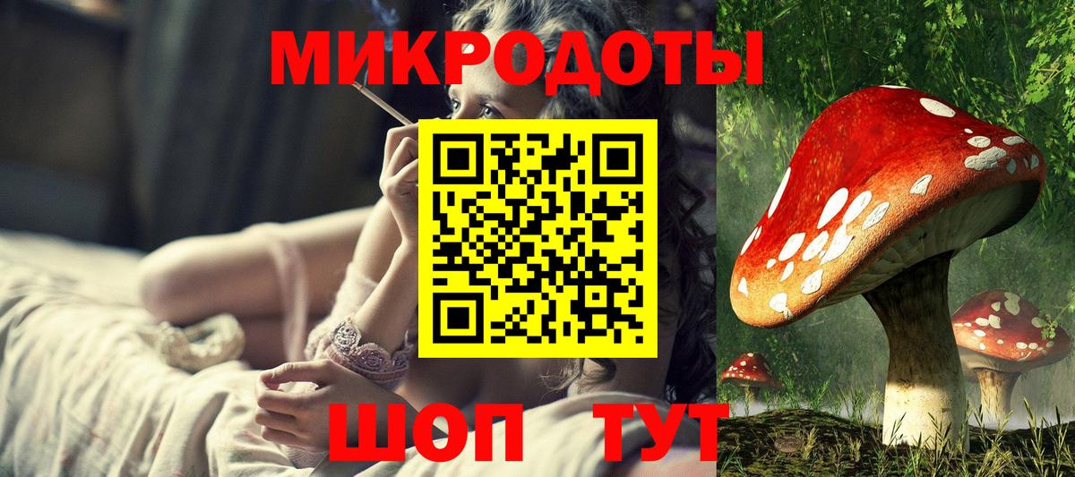 Псилоцибиновые грибы Psilocybe Ивантеевка