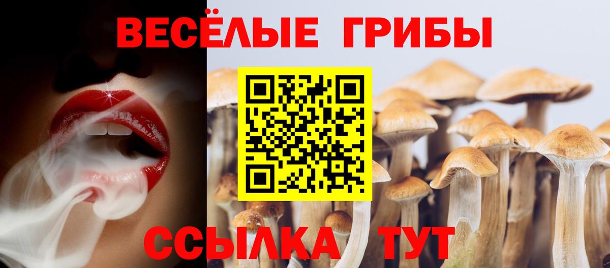 Псилоцибиновые грибы прущие грибы  Псилоцибиновые грибы Psilocybe  что такое наркотик  Вход с VPN  Ивантеевка 