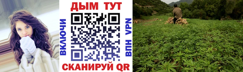 ОМГ ОМГ tor  Ивантеевка  Конопля индика 